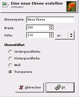 Das Dialogfenster Neue Ebene